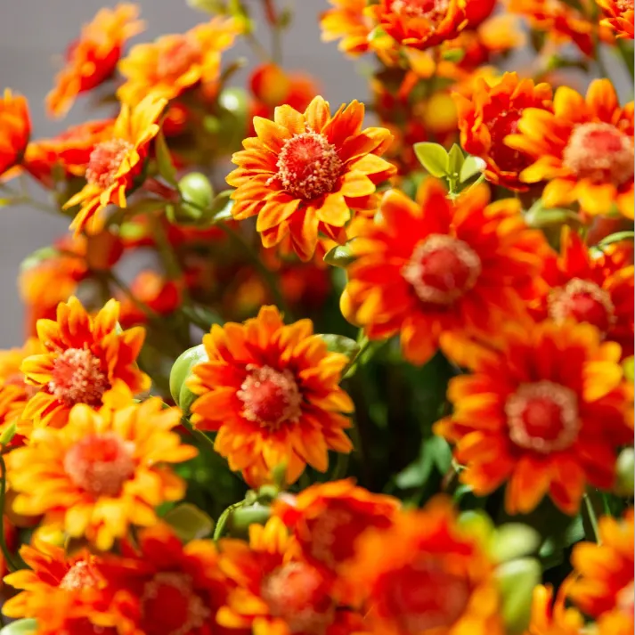 💥Last Day Each : 60%OFF🔥- Artificial Outdoor Sunset Mums Flowers -  Waterproof, Windproof
