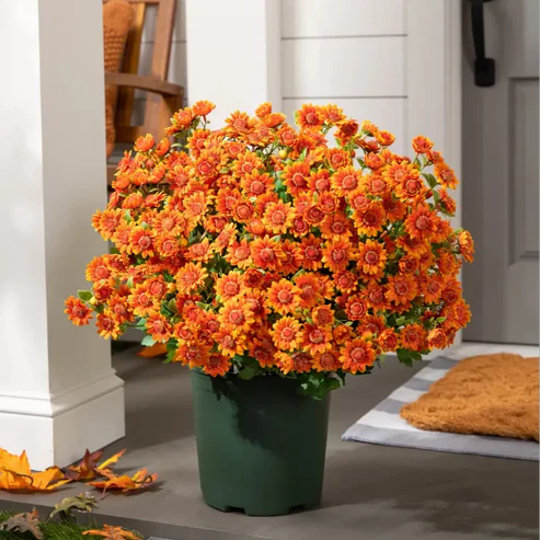 💥Last Day Each : 60%OFF🔥- Artificial Outdoor Sunset Mums Flowers -  Waterproof, Windproof