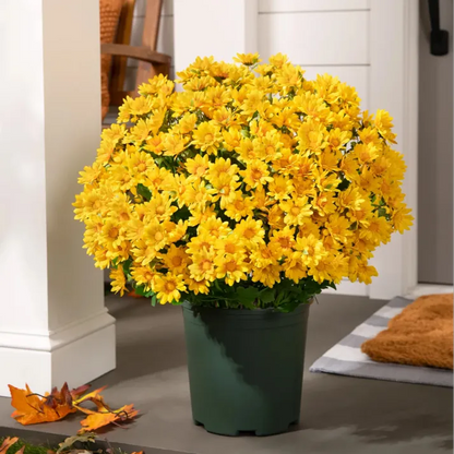 💥Last Day Each : 60%OFF🔥- Artificial Outdoor Sunset Mums Flowers -  Waterproof, Windproof