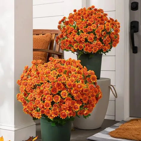 💥Last Day Each : 60%OFF🔥- Artificial Outdoor Sunset Mums Flowers -  Waterproof, Windproof